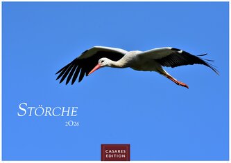 Störche 2026 S 24x35cm