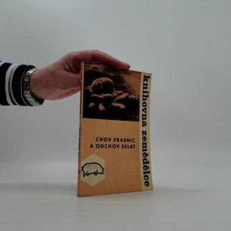 Chov prasnic a odchov selat