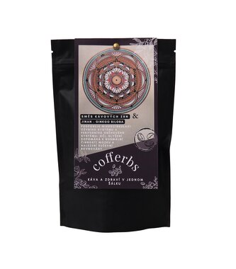 JINAN - GINKGO BILOBA 100g – zrno