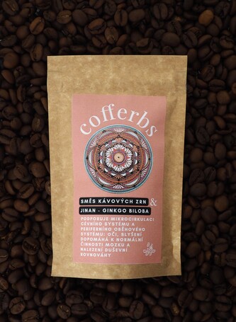 JINAN - GINKGO BILOBA 30g – zrno