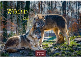 Wölfe 2026 L 35x50cm