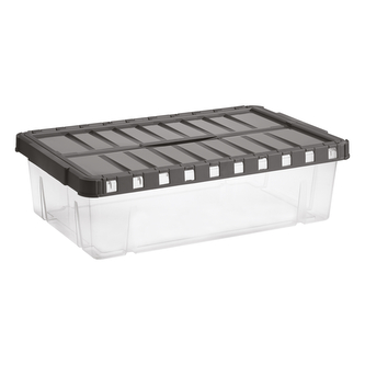 Úložný box s otevíracím víkem LINEA DOUBLE 28 l transparent/grafit