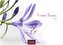 Flower Fantasy 2026 S 24x35cm