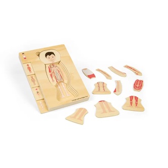 Bigjigs Toys Dřevěné puzzle Anatomie chlapec