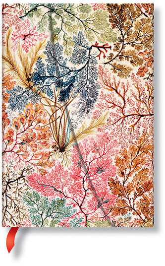 Notes William Kilburn, Anemone Mini w linię, Paperblanks