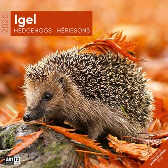 Igel Kalender 2026 - 30x30