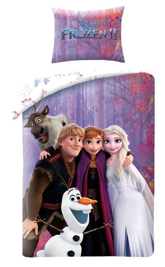 HALANTEX Povlečení Ledové Království Autumn  Bavlna, 140/200, 70/90 cm