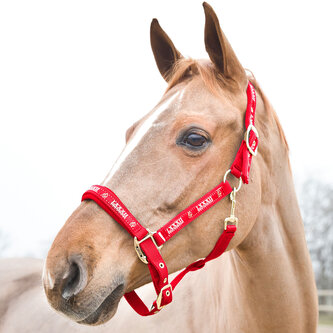 Horze Ohlávka pro koně Hamptons Červená Pony