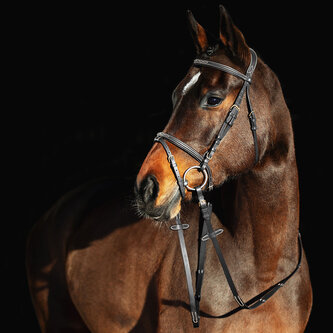 Horze Prošívaná uzdečka Constance Černá Cob