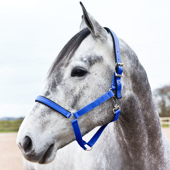 Horze ohlávka pro koně s podšívkou Tmavě modrá Pony