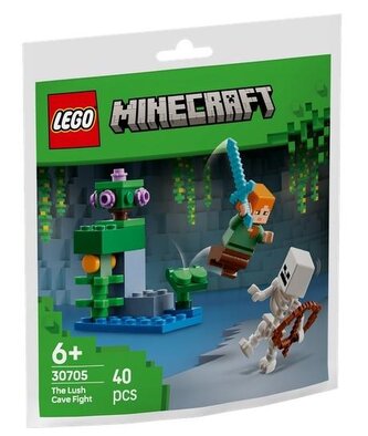 LEGO(R) MINECRAFT 30705 Walka w bujnej jaskini
