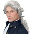 Widmann Paruka pánská historická šedivá