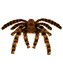 Widmann Tarantule dekorace 65 cm