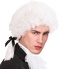 Widmann Paruka pánská historická Mozart bílá