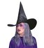 Widmann Čarodějnický klobouk s vlasy