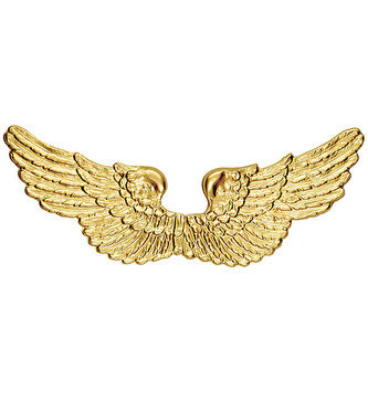 Widmann Andělská křídla zlatá plastová
