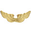 Widmann Andělská křídla zlatá plastová