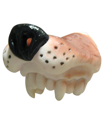 Widmann Psí čenich