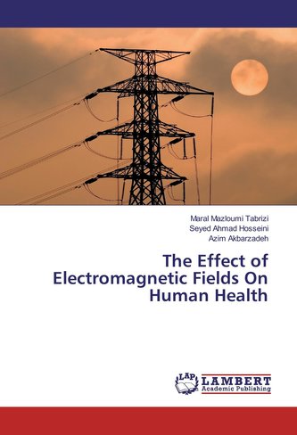 The Effect of Electromagnetic Fields On Human Health