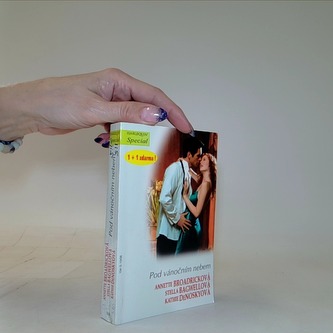 Pod vánočním nebem