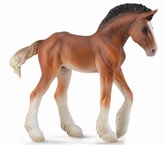 Collecta. Źrebię Clydesdale. Maść Bay