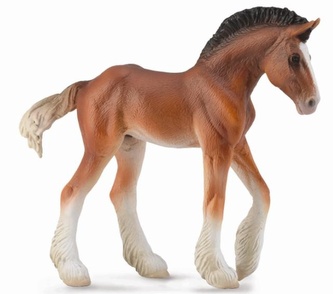 Collecta. Źrebię Clydesdale. Maść Bay