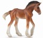 Collecta. Źrebię Clydesdale. Maść Bay