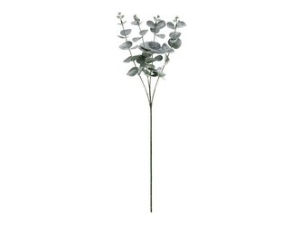 Gałązka Eukaliptus 60cm
