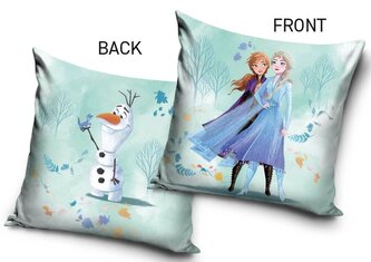 Dětský polštářek FROZEN KOUZELNÝ LES 40x40 plyšový modrý