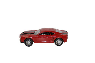 Samochód sportowy w worku 1263242