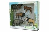 Zestaw 5 dzikich zwierząt w opakowaniu 89674 COLLECTA