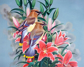 Malowanie po numerach Ptaszki na gałęzi 40x50cm 5644