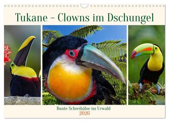 Tukane - Clowns im Dschungel (Wandkalender 2026 DIN A3 quer), CALVENDO Monatskalender