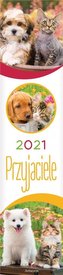Kalendarz 2021 Ścienny paskowy Przyjaciele