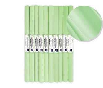 Bibuła marszczona nr 39 pistacjowy pastel (10szt)