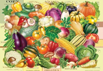 GRAFIKA Puzzle Zahradníkův poklad 1000 dílků