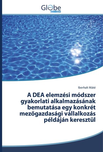 A DEA elemzési módszer gyakorlati alkalmazásának bemutatása egy konkrét mezőgazdasági vállalkozás példáján keresztül