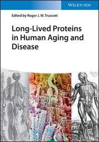 Long-lived Proteins in Human Aging and Disease