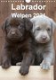 Labrador Welpen (Wandkalender 2021 DIN A4 hoch)