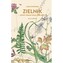 Zielnik