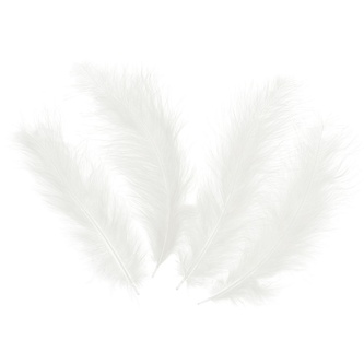 Peříčka bílá 10 - 15 cm, 50 ks