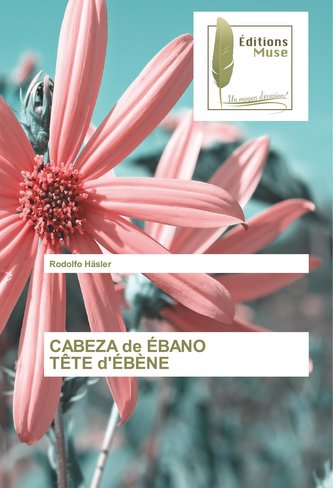 CABEZA de ÉBANO TÊTE d'ÉBÈNE