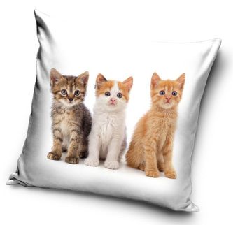 Povlak na polštářek Kočičí Mňau Tým