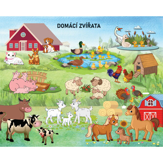 Domácí zvířata, závěsný naučný obraz