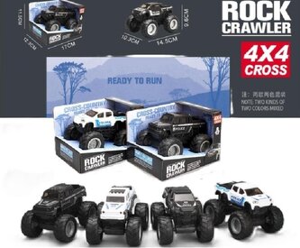 Pickup policyjny MIX