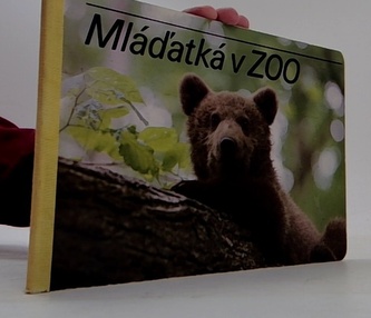 Mláďatká v zoo