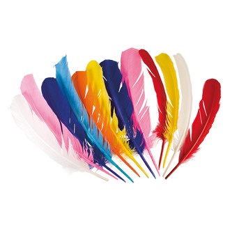 Boland Sada 12 peříček 30 cm