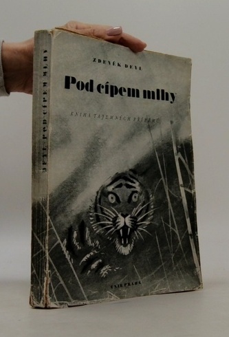 Pod cípem mlhy