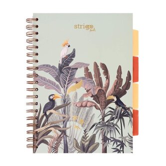 Kołozeszyt Pads B5/100K kratka Afryka pastel ziel