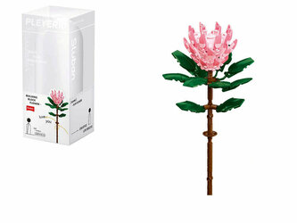 Klocki Sluban Kwiaty 219el Protea królewska 192924 Gazelo